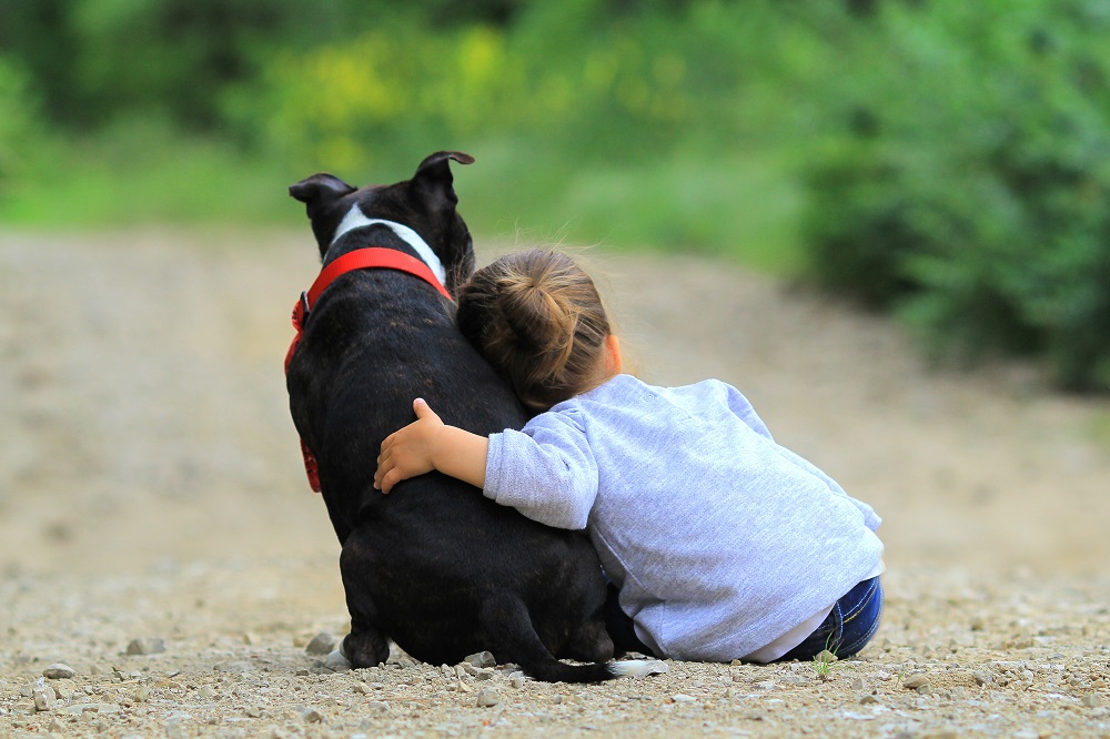 Dogoterapia