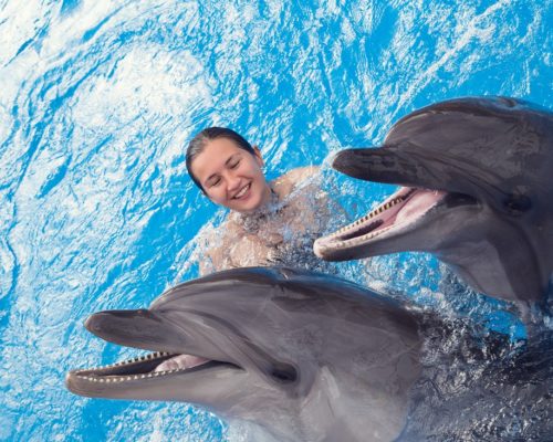 pływanie z delfinami